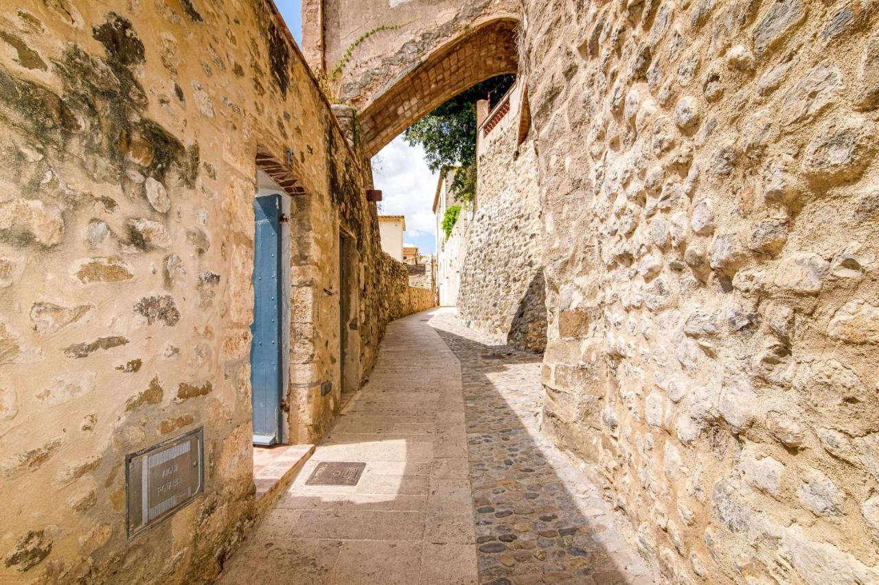 El Molino De Besalu Casa Con Jardin Villa Bagian luar foto